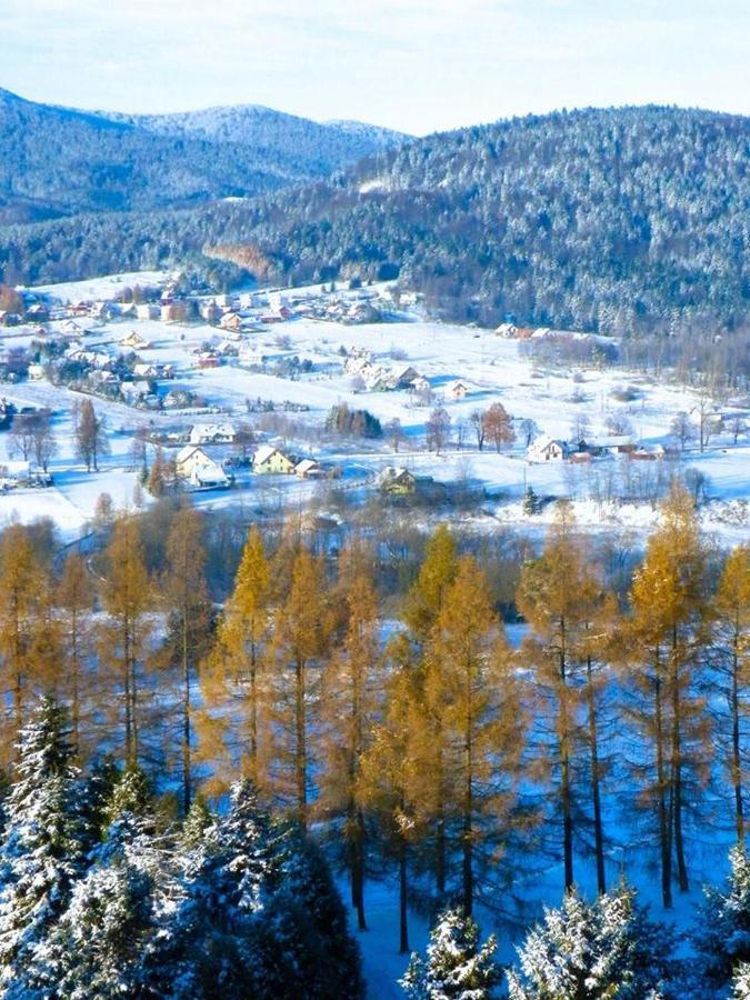 Osrodek Uzdrowiskowy Beskid Ξενοδοχείο Wysowa-Zdrój Εξωτερικό φωτογραφία